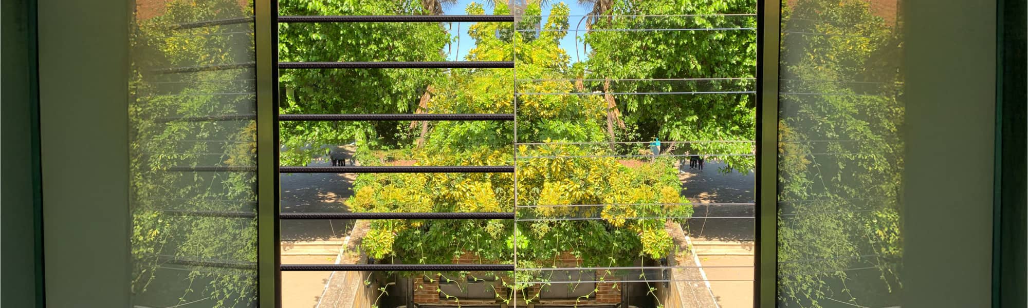 antes y después con ClearPro